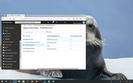 Azure backup delete process