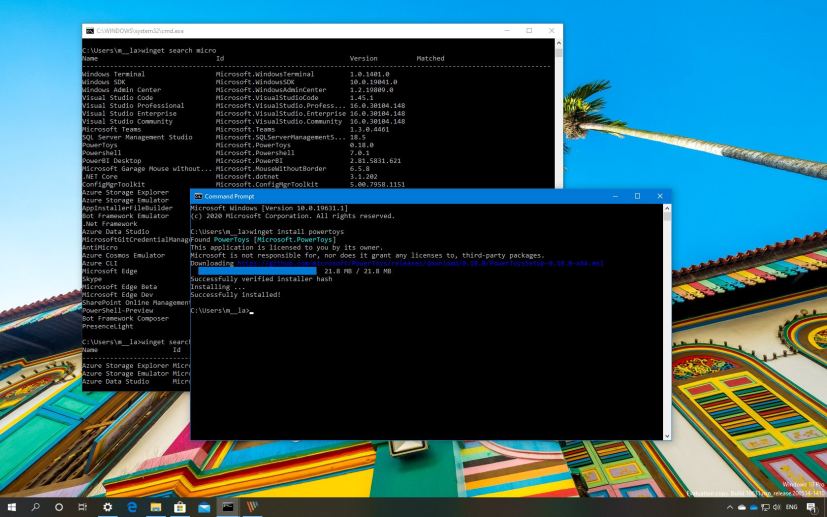 Windows Package Manager (winget) on Windows 10